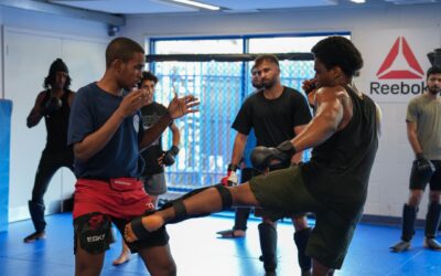 THE TRUTH ABOUT MIXED MARTIAL ARTS